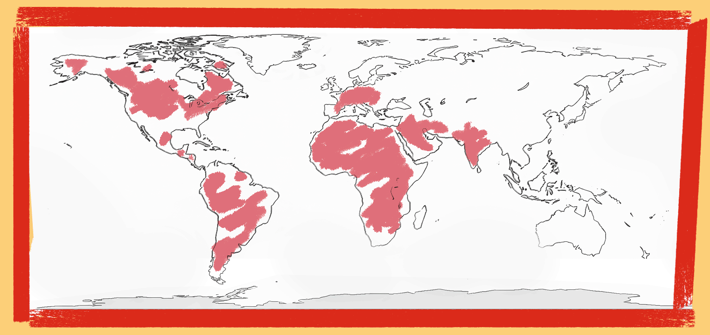 Map_With-Girls.gif